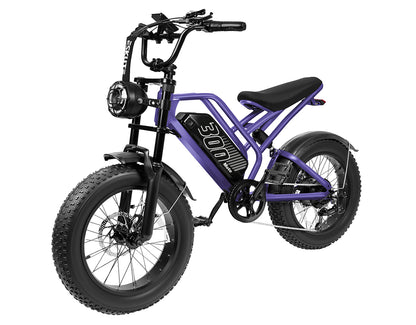 Eskute® V300 20*4.0" Electric Dirt Bike