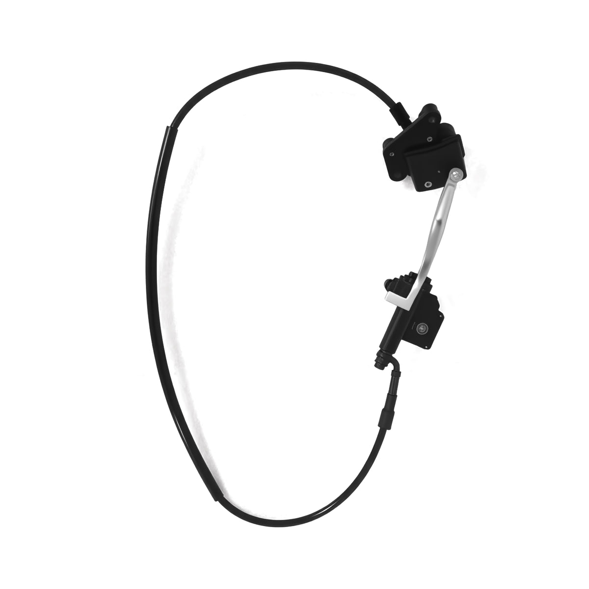 Front Disc Brake