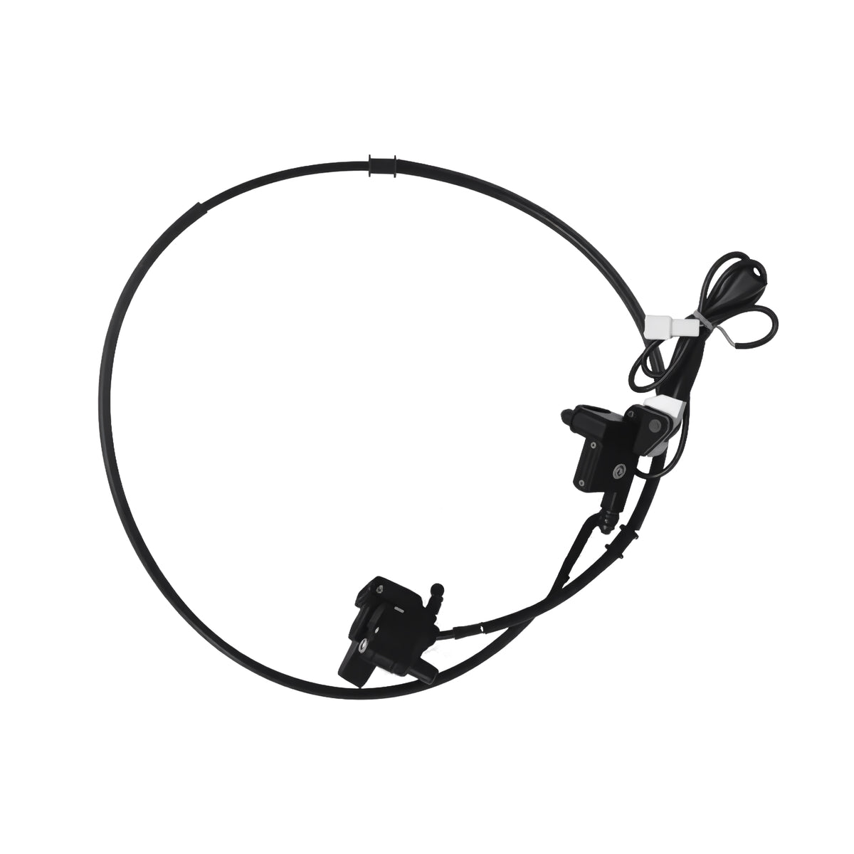 Rear Disc Brake