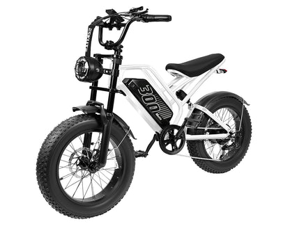 Eskute® V300 20*4.0" Electric Dirt Bike