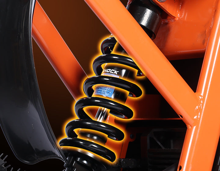 Central Hydraulic Rear Shock