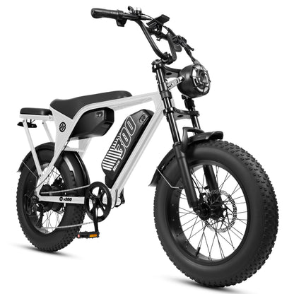 Eskute® V300 20*4.0" Electric Dirt Bike